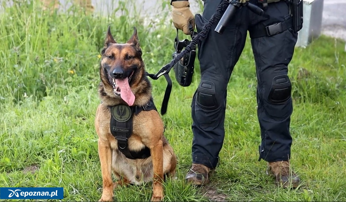 fot. Policja