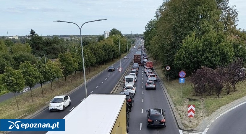 Zdjęcie ilustracyjne | fot. Czytelnik