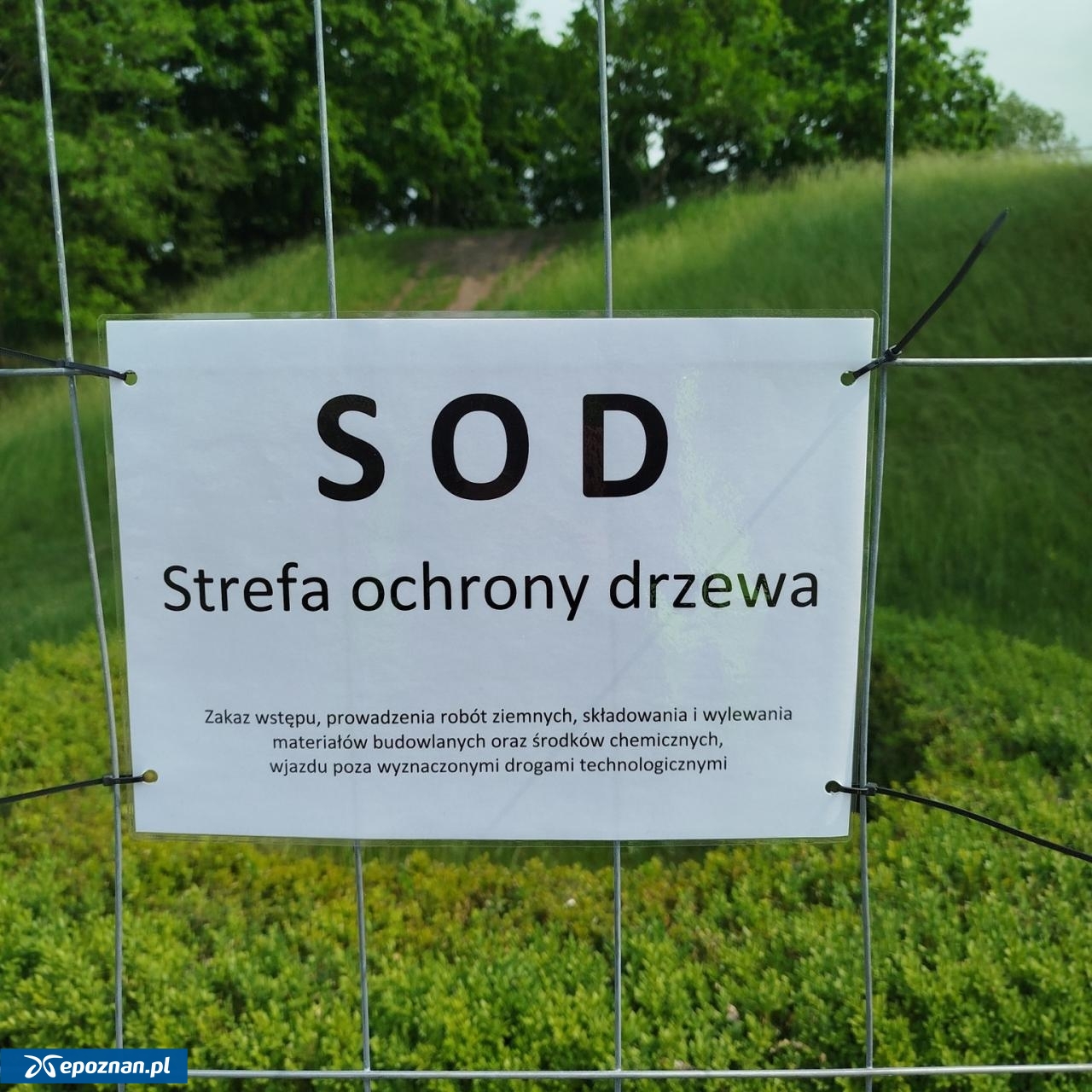 fot. ZZM Poznań