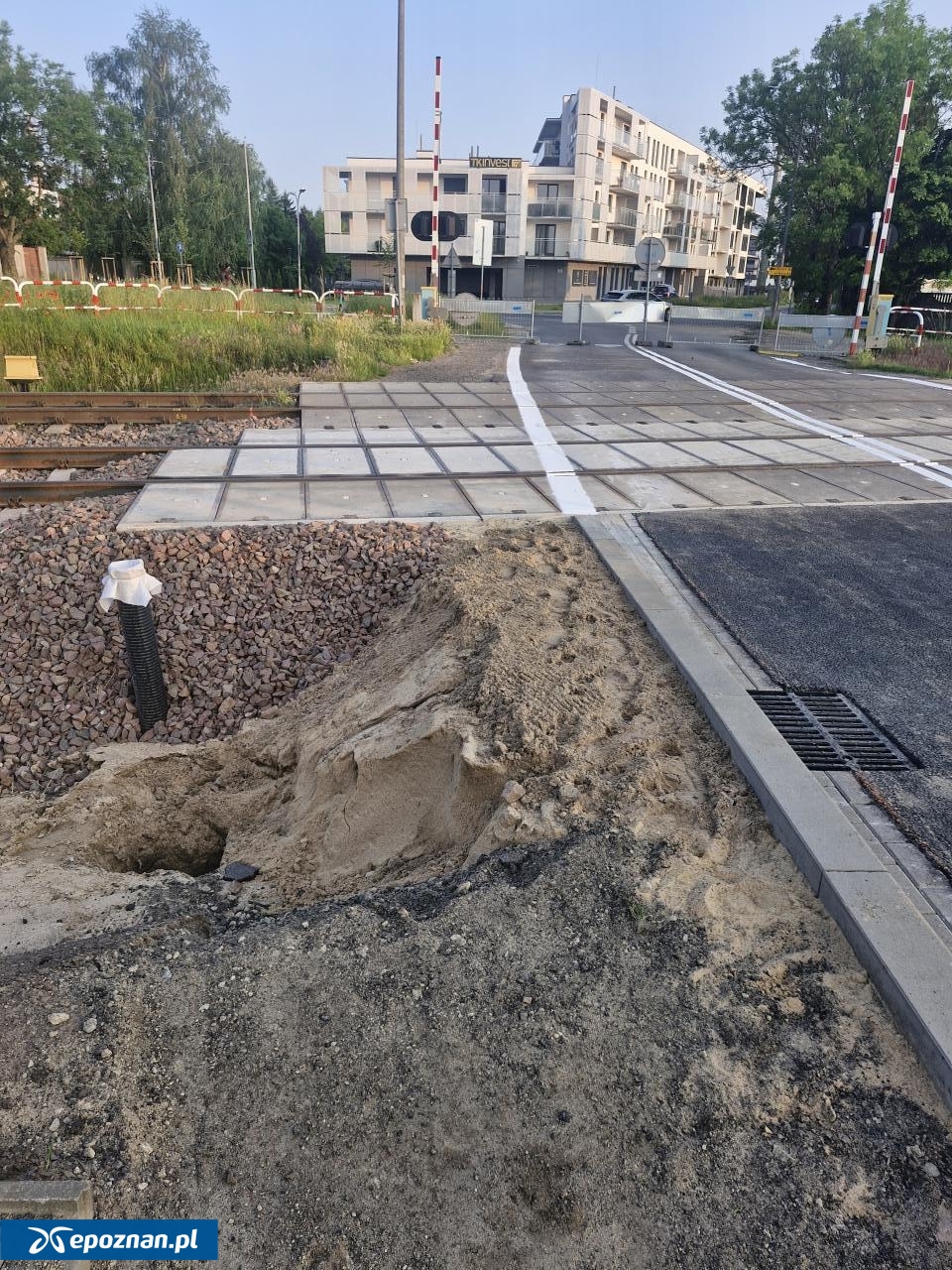 fot. Czytelniczka
