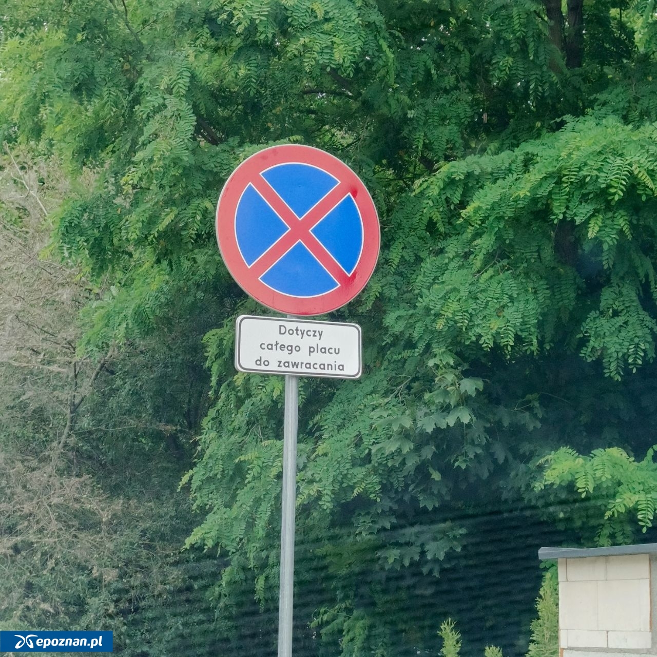 fot. Czytelniczka