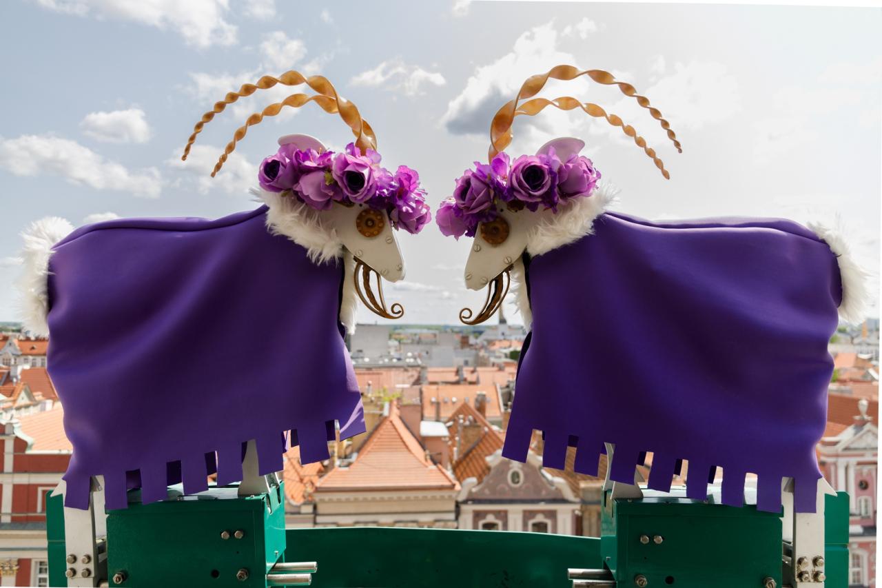 Nowe stylizacje poznańskich koziołków z ratuszowej wieży