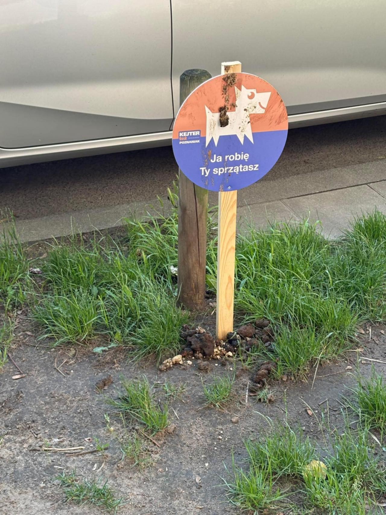 Darmowa tabliczka cała w psich kupach. Właściciele psów zlekceważyli istotny przekaz kierowany do nich. Mieszkańcy oburzeni