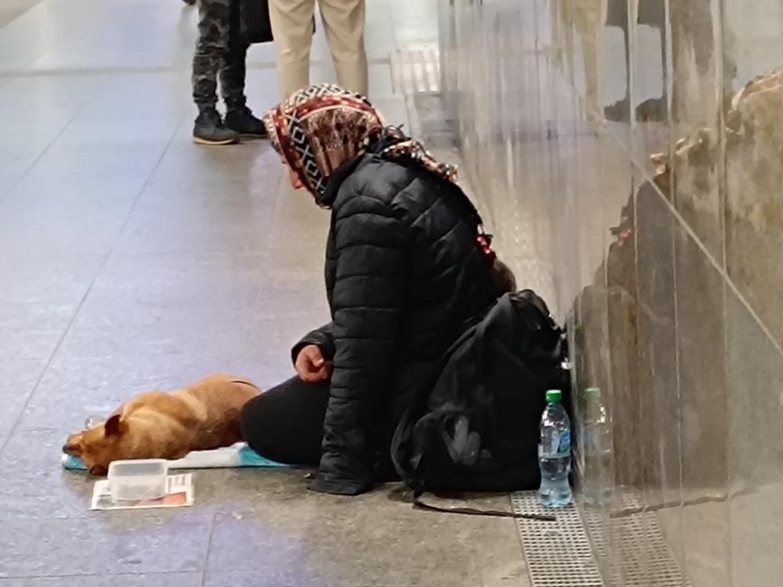 Żebrząca kobieta siedziała z psem przed wejściem na dworzec PKP. Przechodnie zgłosili służbom, iż pies jest podejrzanie senny