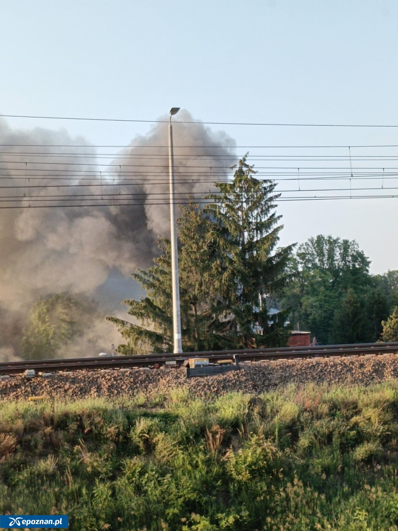 fot. Czytelniczka