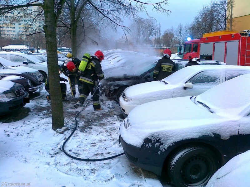 fot. Tomasz Fietz