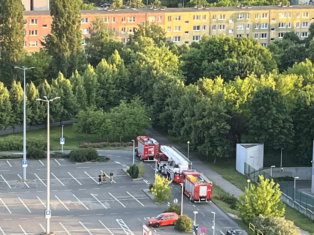 Akcja strażaków na Winogradach. "Biegli w kierunku bloków lub parku"