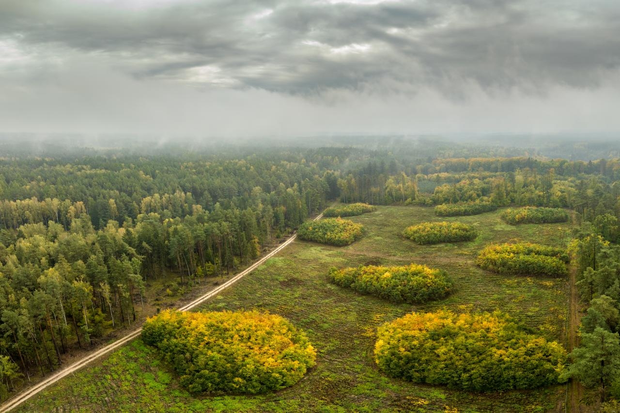 fot. Łukasz Gwiździel