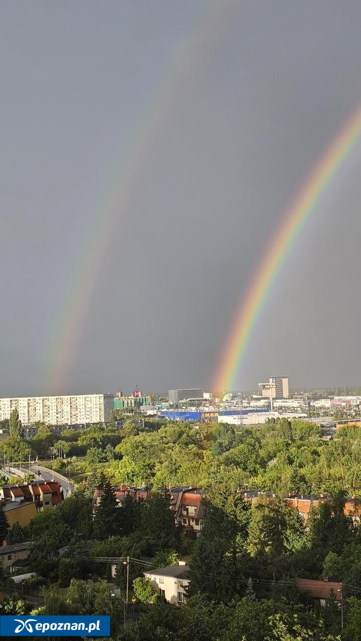 fot. Czytelniczka
