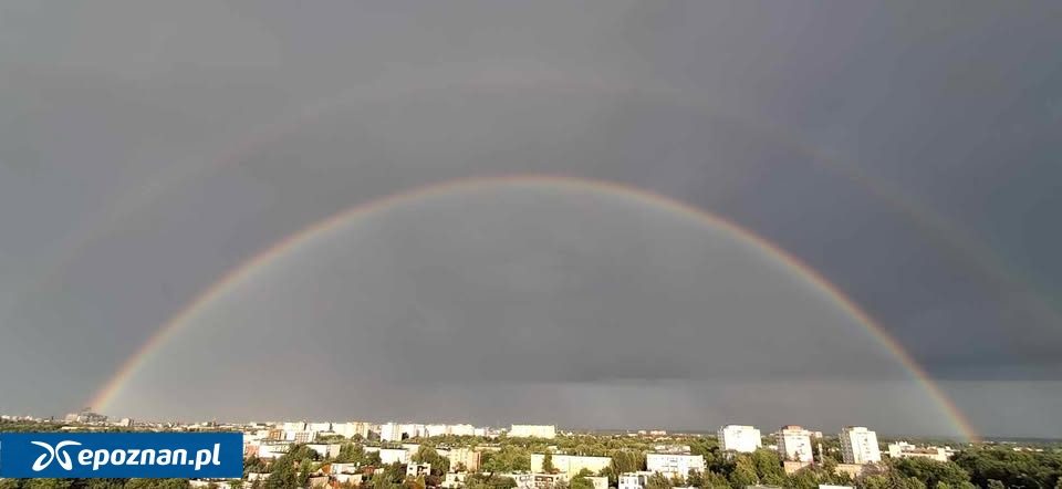 fot. Czytelniczka