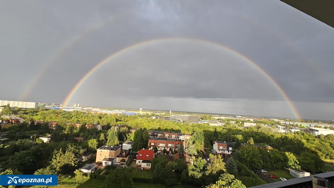 fot. Czytelniczka