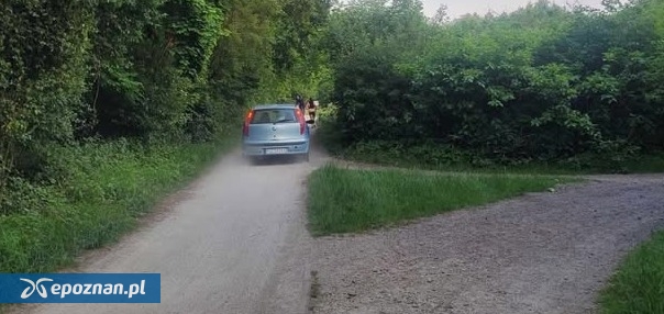 fot. Czytelniczka