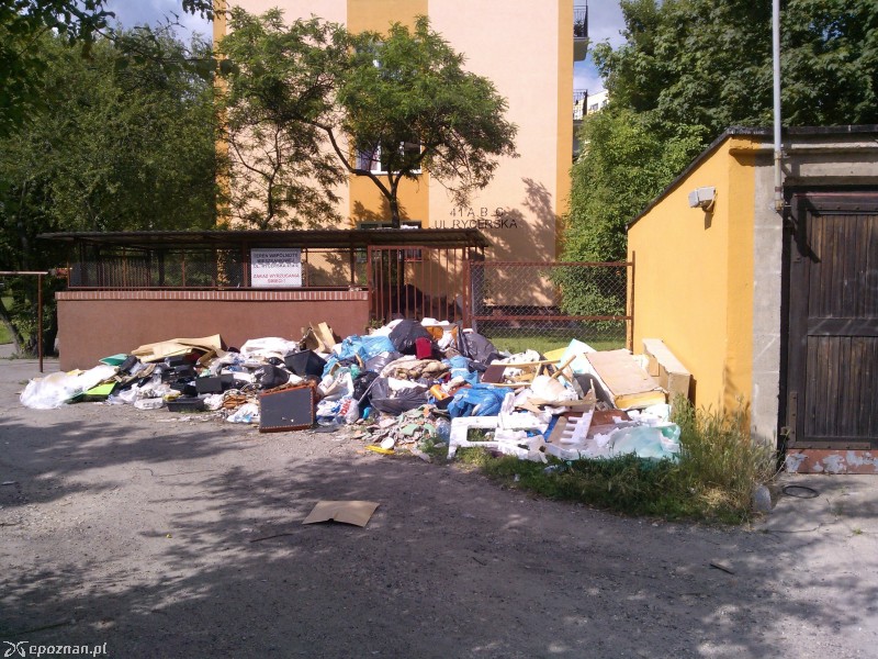 Śmieci przy ul. Rycerskiej | fot. Łoś