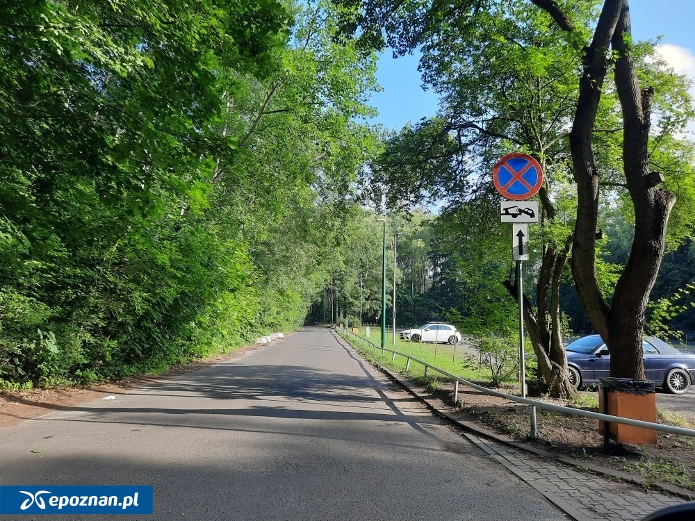 fot. SM Poznań