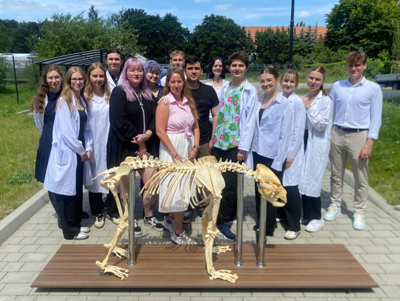 ZOO informuje, iż wrócił niedźwiedź Baloo. "W innej formie"