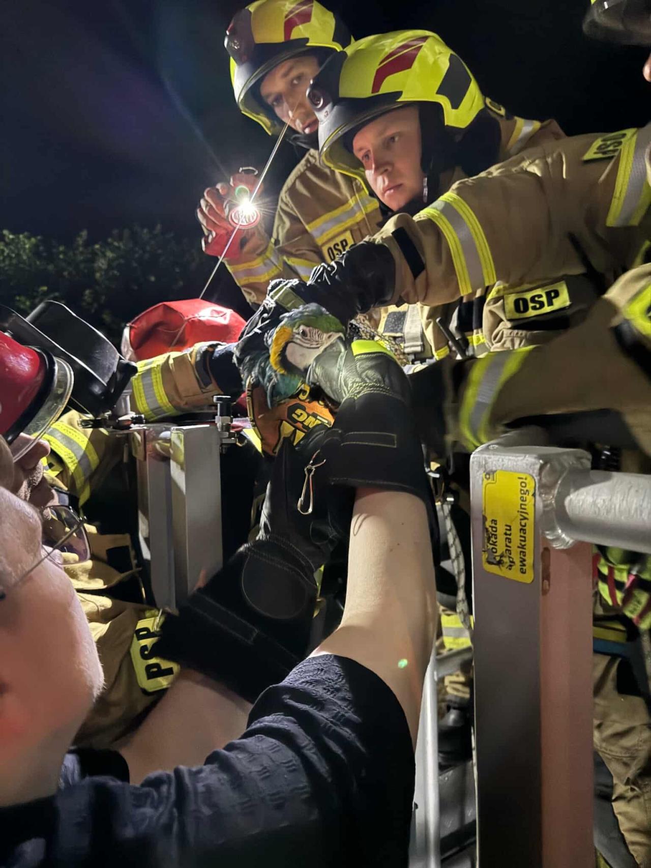 Bardzo nietypowa akcja ratunkowa strażaków w regionie. "Prosimy o zwracanie większej uwagi na bezpieczeństwo domowych pupili"