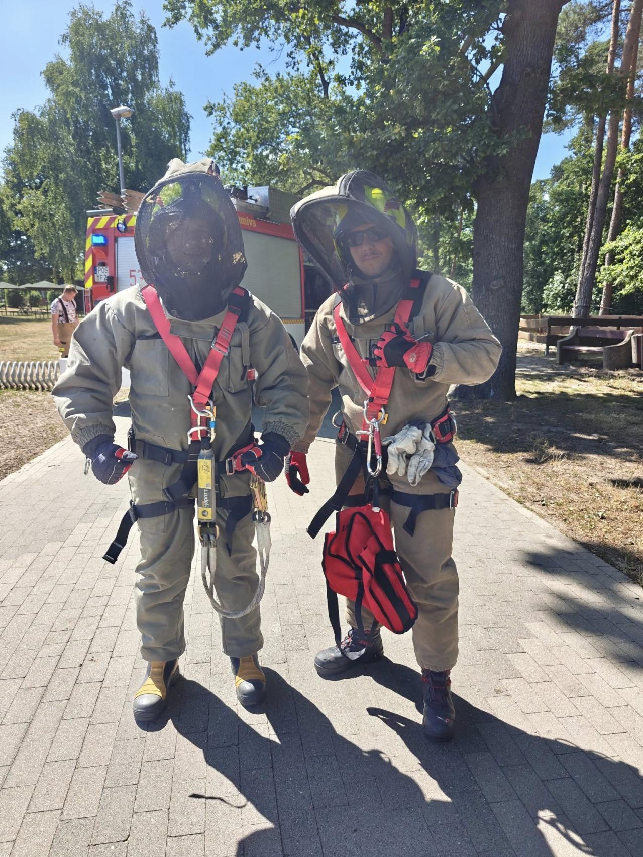 Szerszenie w parku linowym. Niebezpieczna interwencja wielkopolskich strażaków