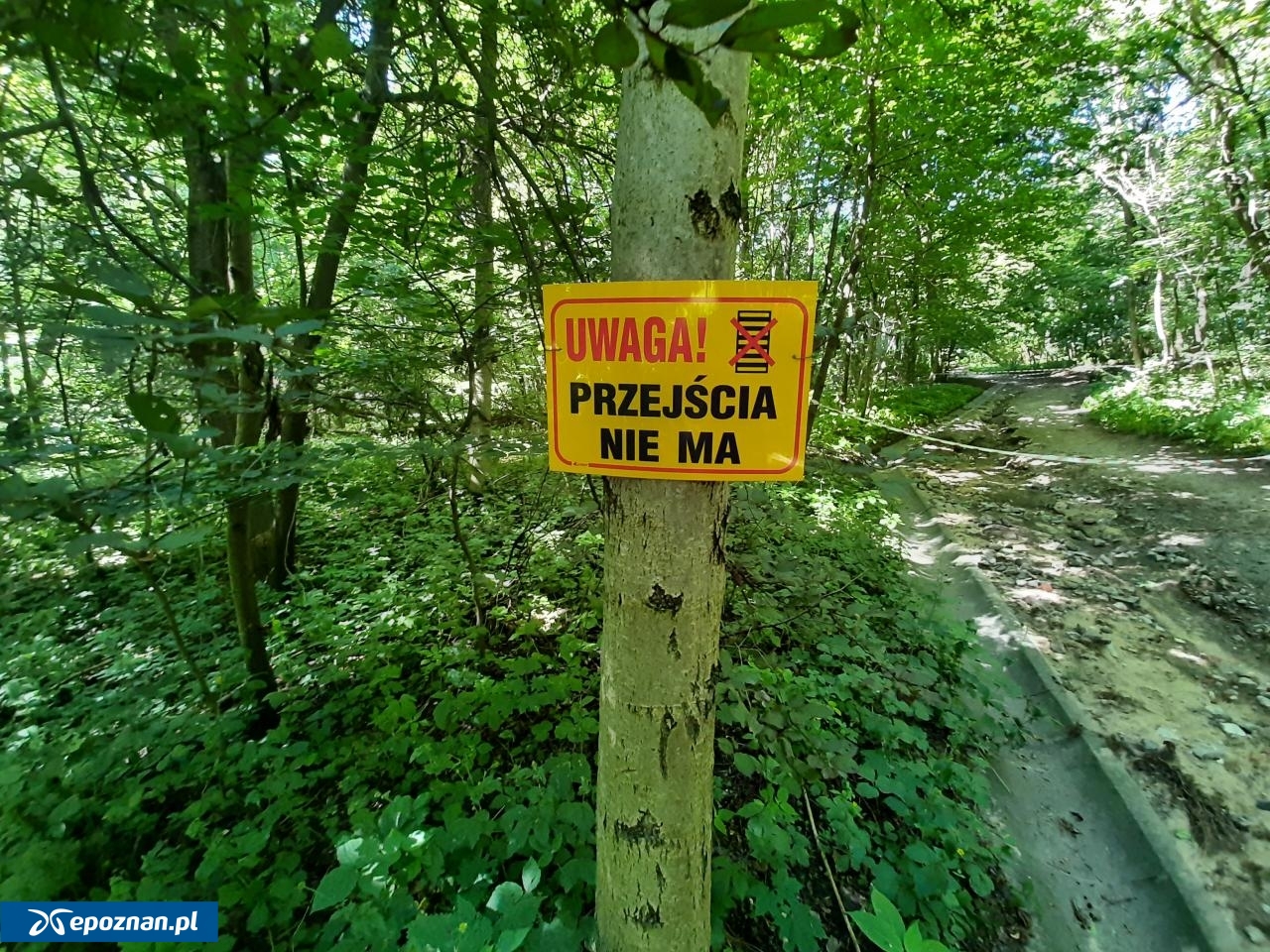 fot. Zakład Lasów Poznańskich