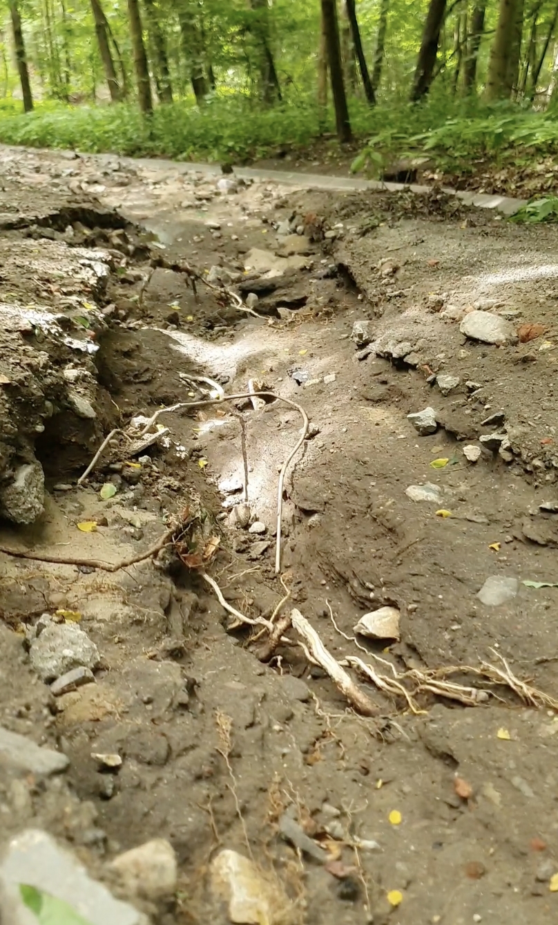 Ścieżka w lesie nad Maltą zniszczona przez ulewę. Czytelniczka: "problem istnieje od wielu lat, o smrodzie choćby nie chcę pisać"