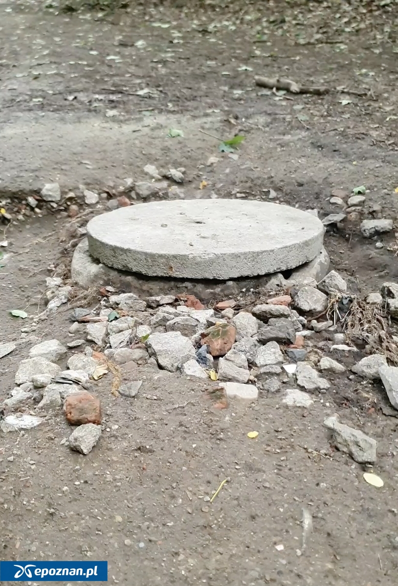 fot. Czytelniczka