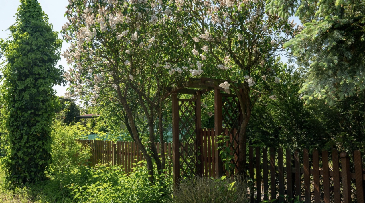 W sobotę będzie można bezpłatnie się przebadać. W nietypowym miejscu!