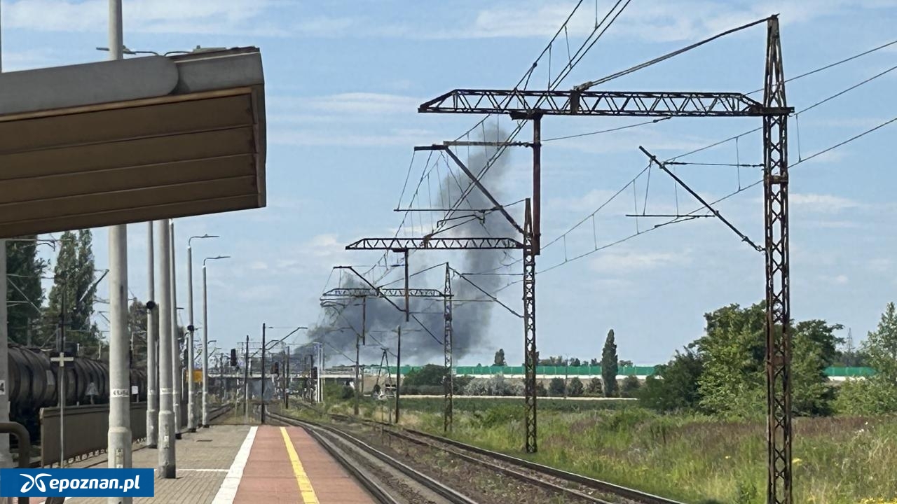fot. Czytelnik