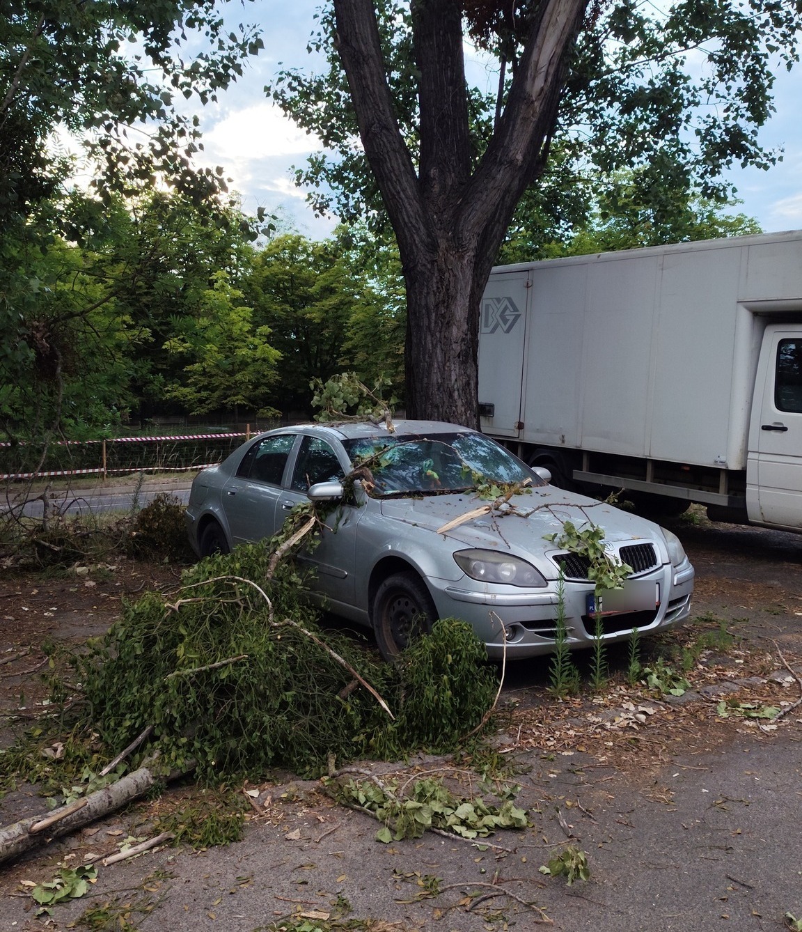 Gałęzie uszkodziły samochód zaparkowany na dzikim parkingu. Mieszkanka Łazarza zaapelowała do właściciela auta