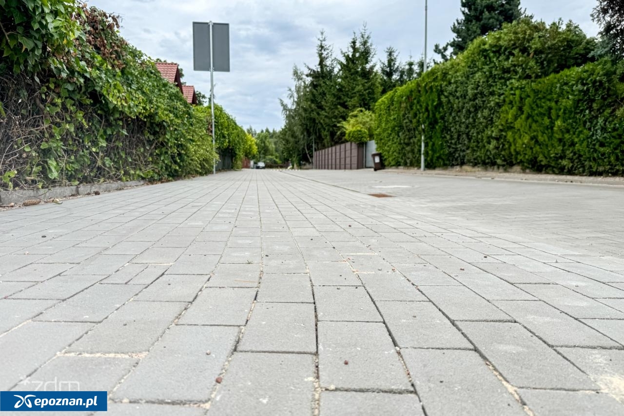 fot. Bartosz Szczepaniak / ZDM