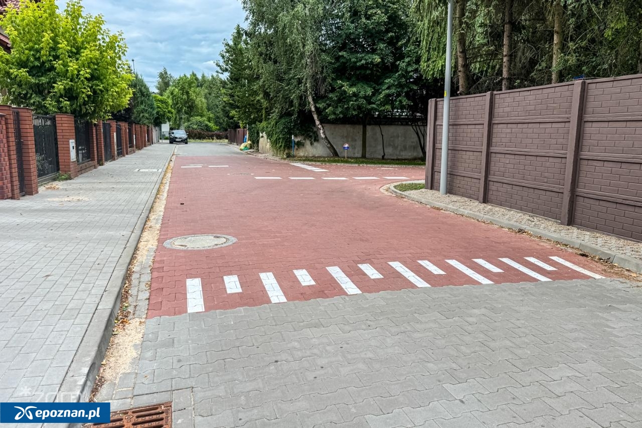 fot. Bartosz Szczepaniak / ZDM