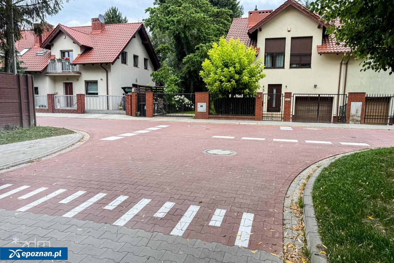 fot. Bartosz Szczepaniak / ZDM
