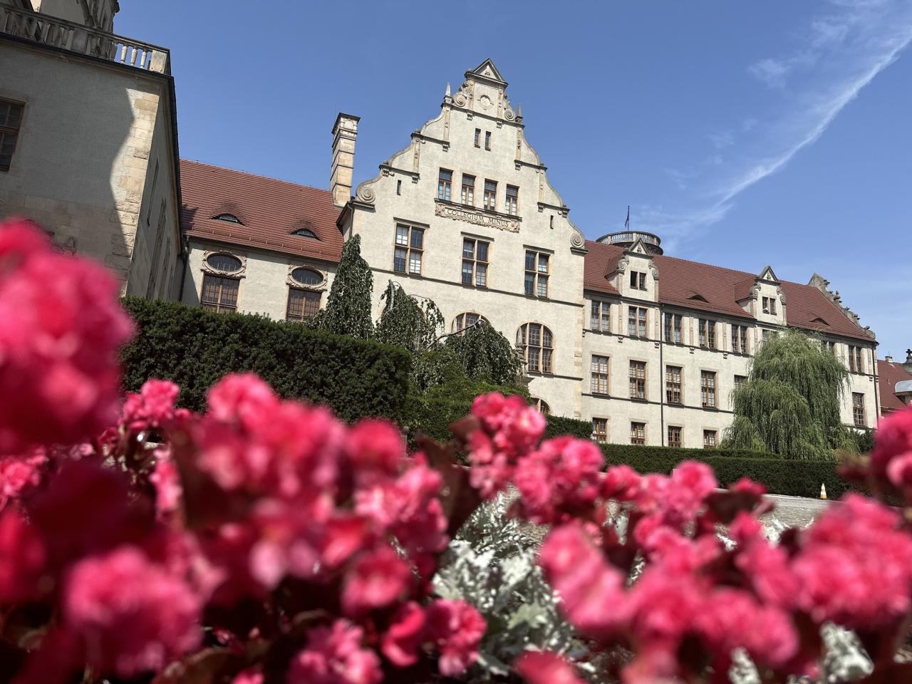 Mamy listę najbardziej obleganych kierunków na UAM. Tysiące chętnych do studiowania na uniwersytecie