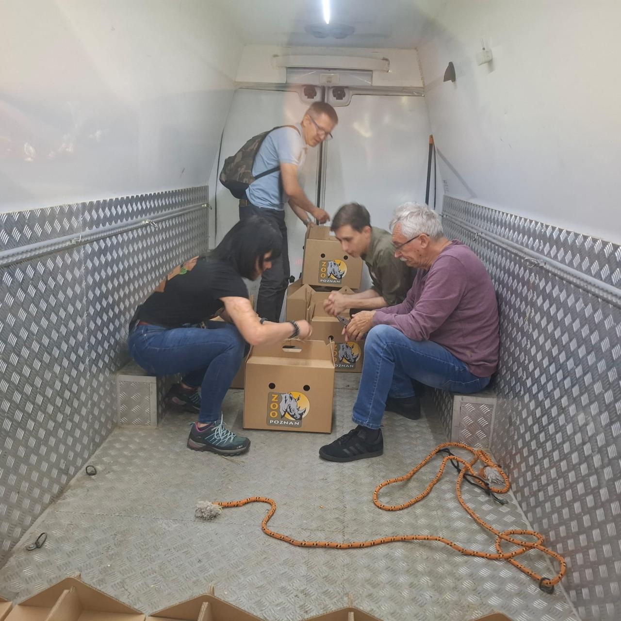 Wypuścili na wolność 21 podgorzałek z Nowego ZOO