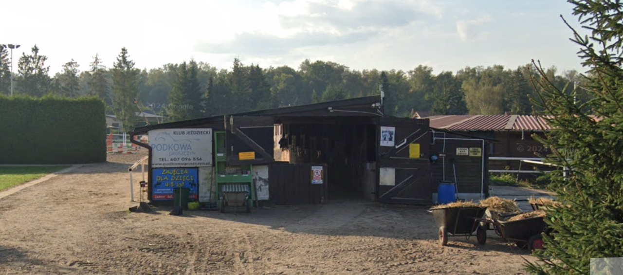 Stadnina koni działa na osiedlu domów jednorodzinnych w Poznaniu niezgodnie z prawem? "We własnym domu nie mogę otwierać okien przez smród, hałas i muchy"