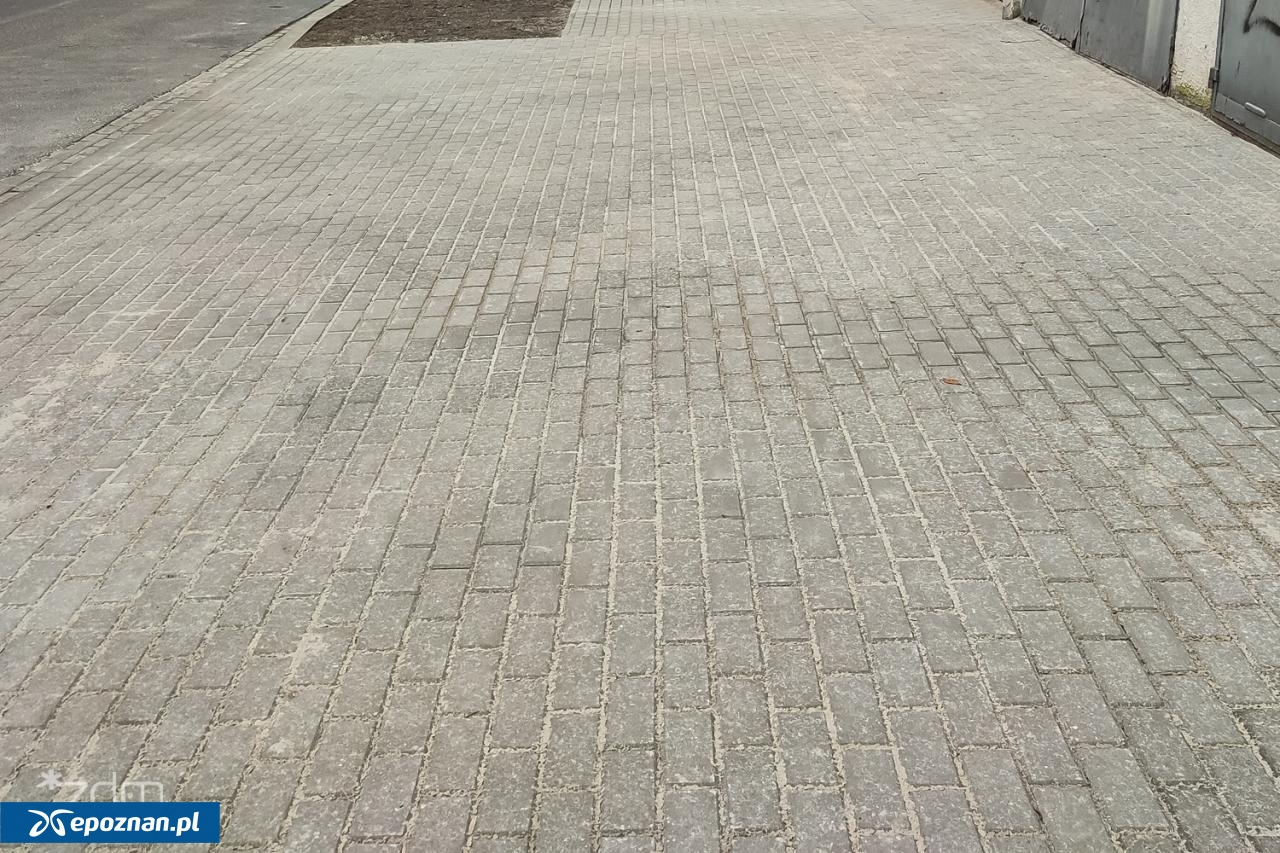 fot. ZDM Poznań