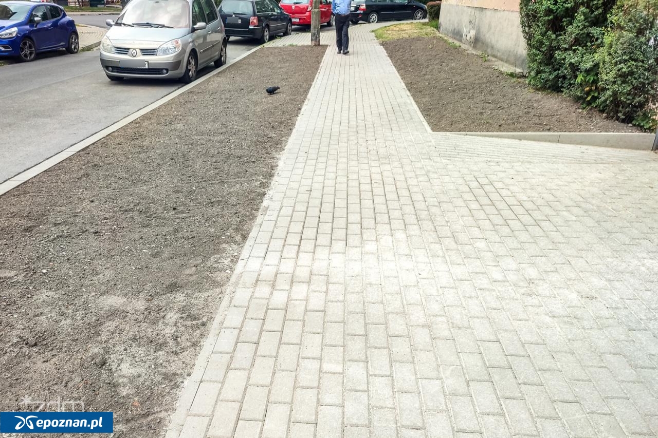fot. ZDM Poznań