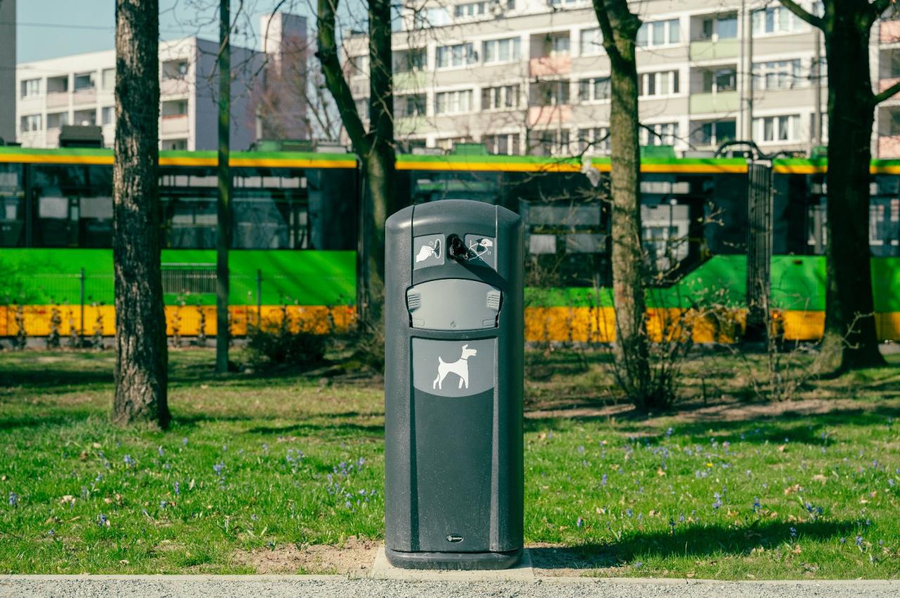 Poznań zachęca do sprzątania po psach. Jest konkurs