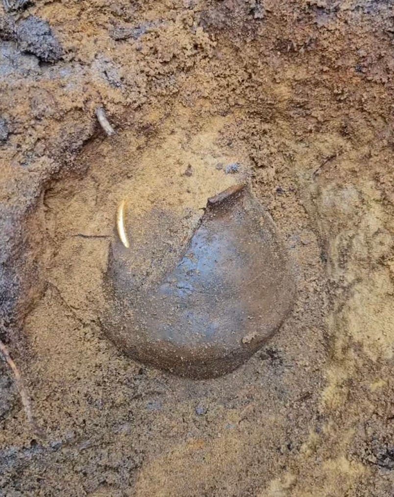 To już prawdziwa sensacja! Znowu znaleźli skarb!