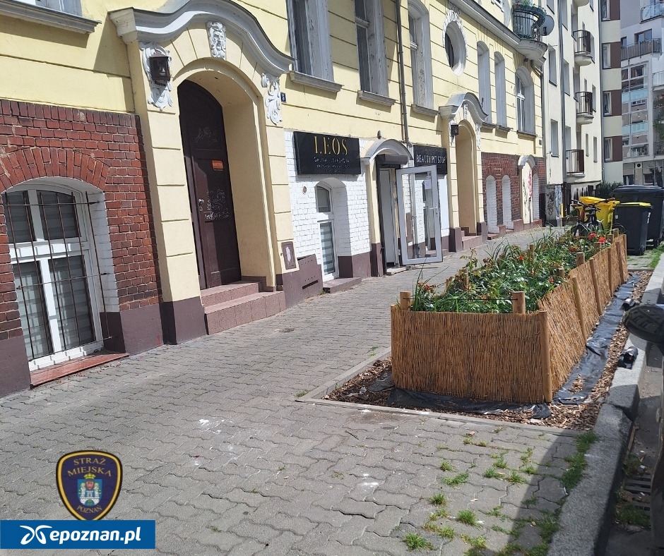 fot. SM Poznań