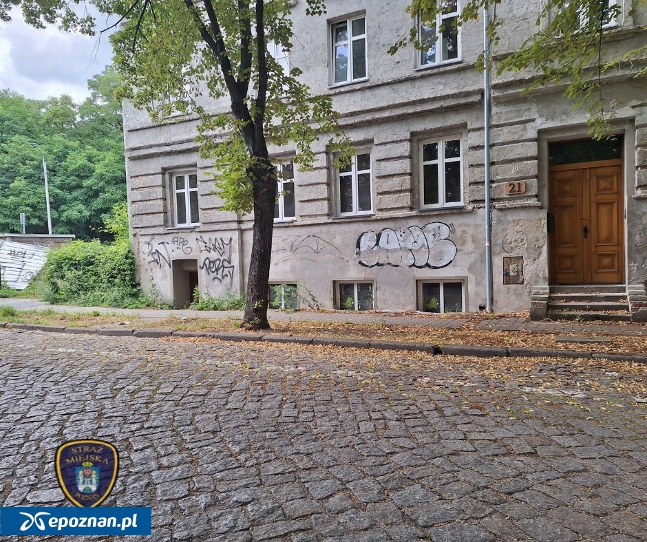 fot. SM Poznań