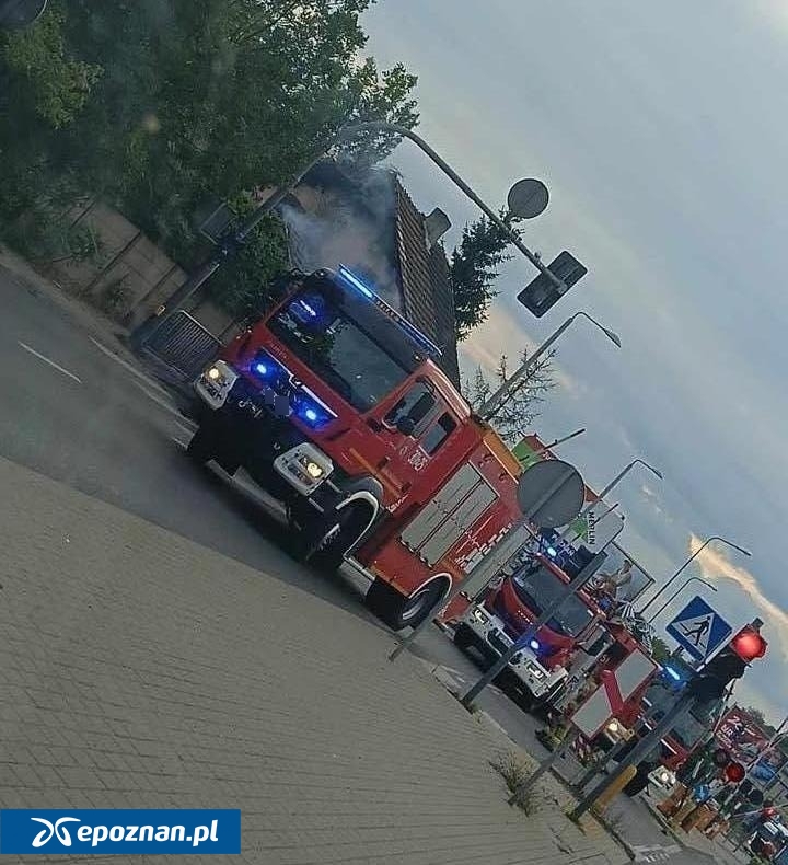 fot. Czytelniczka epoznan.pl