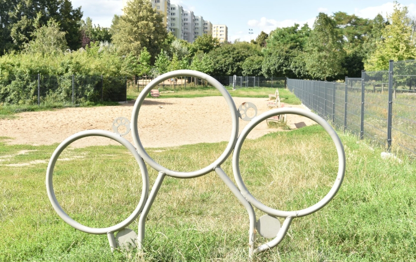 Nowy wybieg dla psów w Poznaniu. Czworonogi będą mogły bezpiecznie się bawić