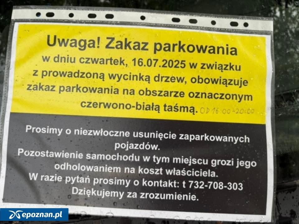 fot. AL