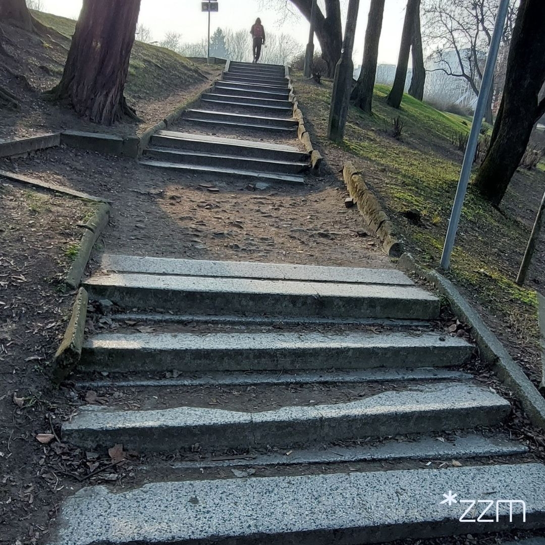 fot. ZZM Poznań / FB