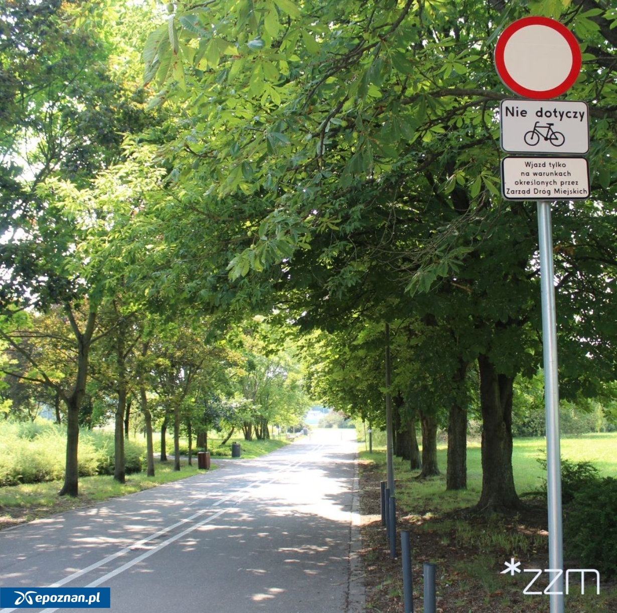 fot. ZZM Poznań