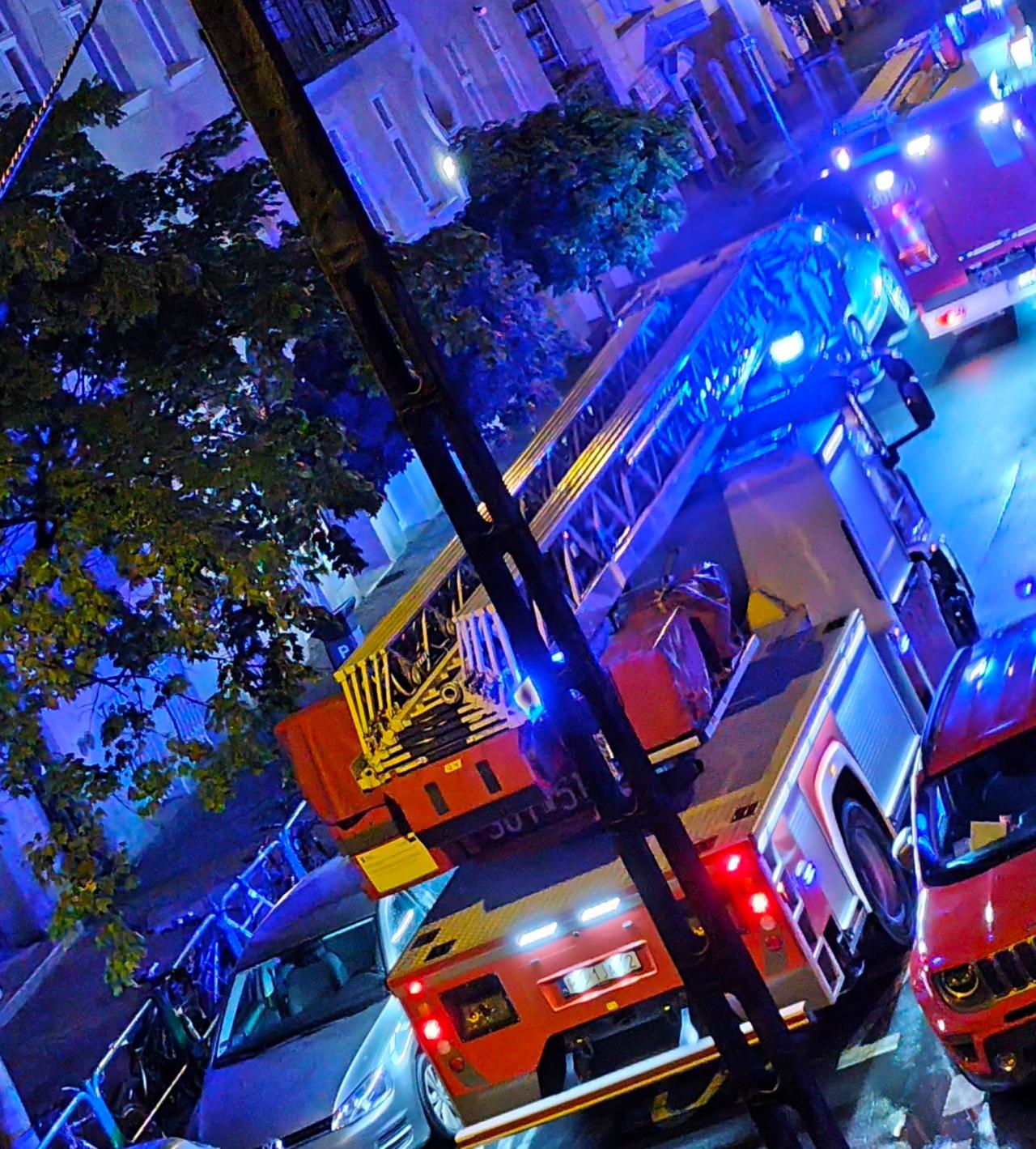 Nocna akcja strażaków na Wildzie. "Kot wyskoczył przez okno"