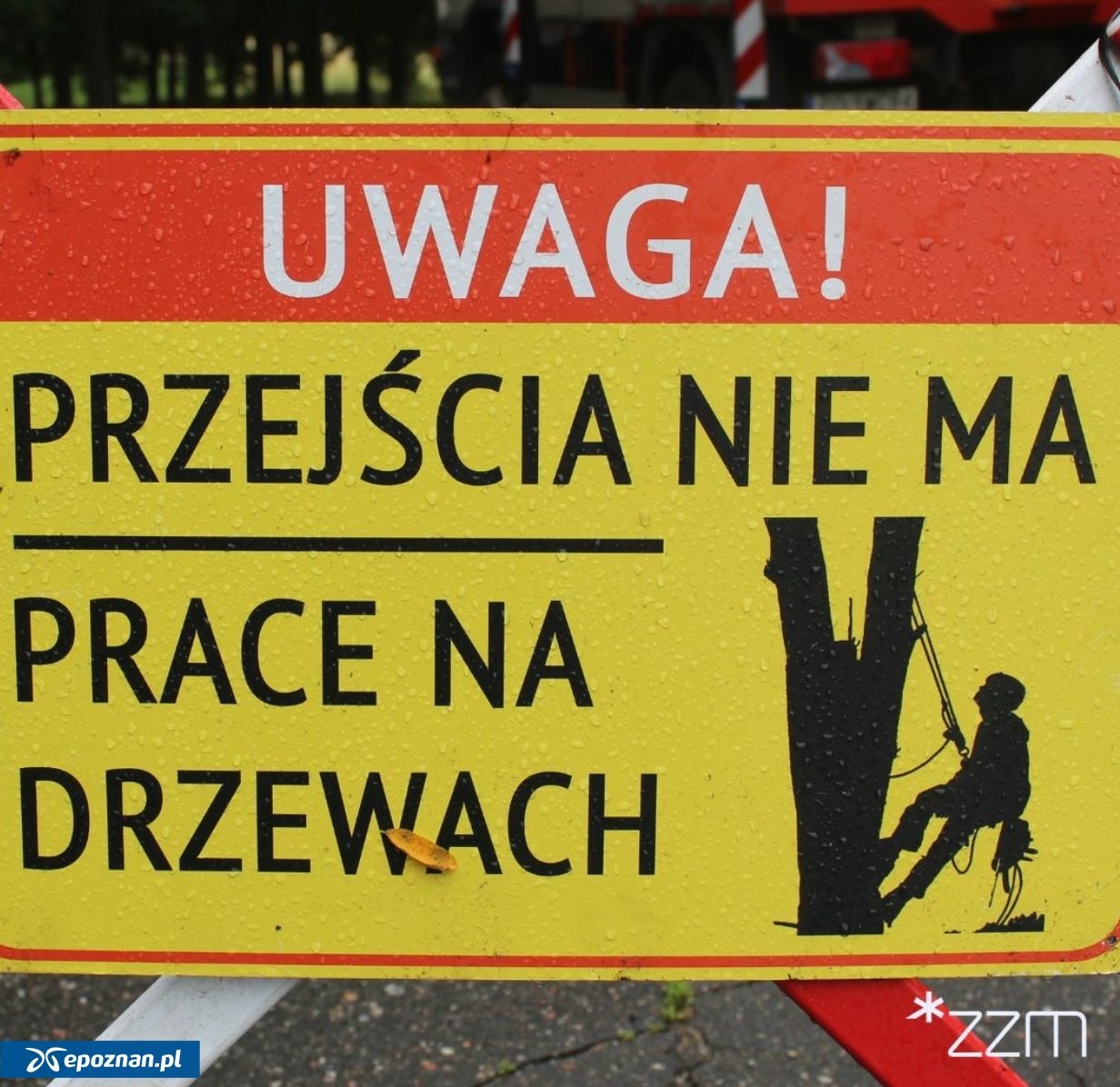 fot. ZZM Poznań