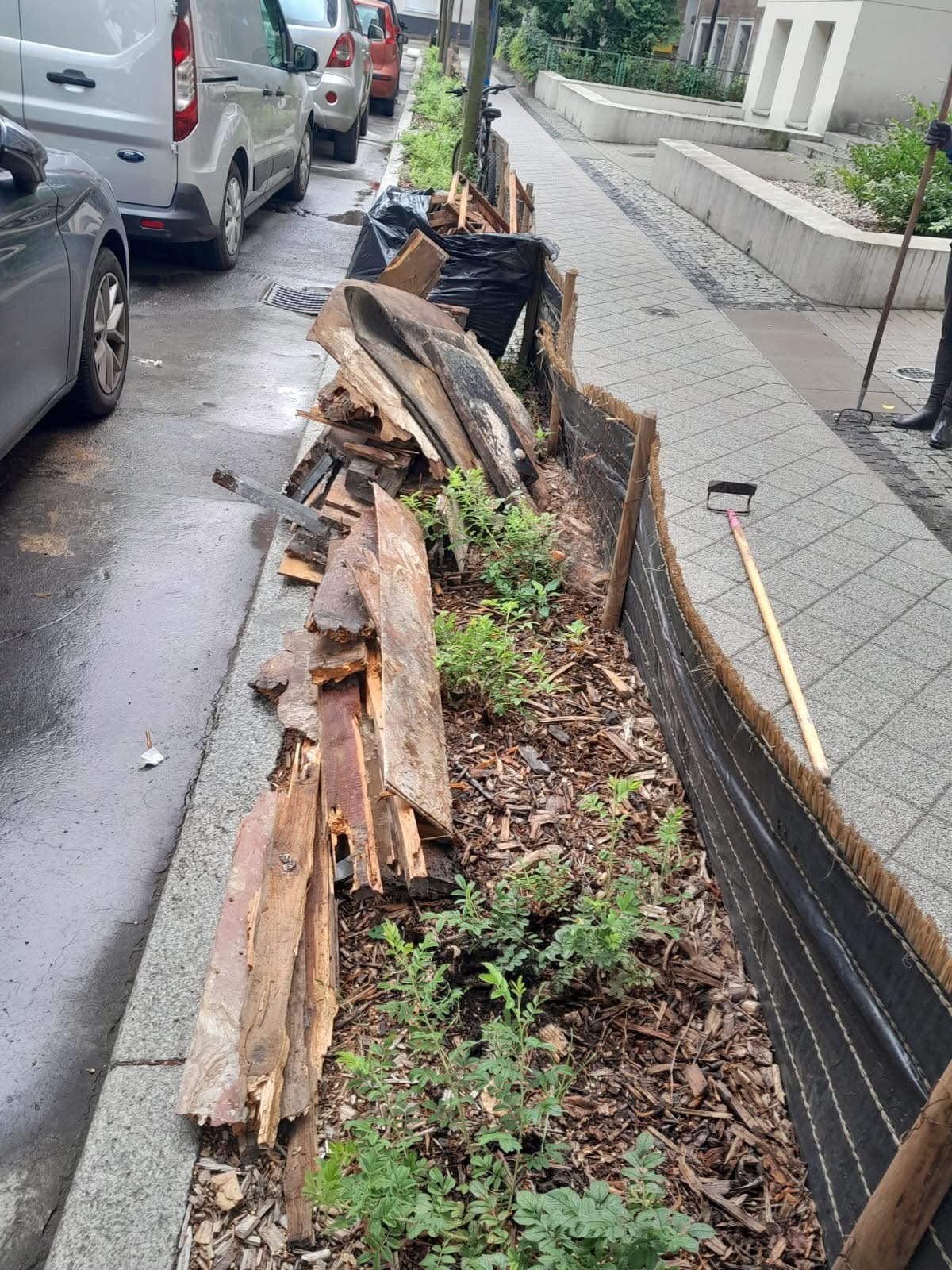 Rośliny posadzone przy wildeckiej ulicy zgniecione przez odpady gabarytowe. "Na głupotę lekarstwa jeszcze nie ma"