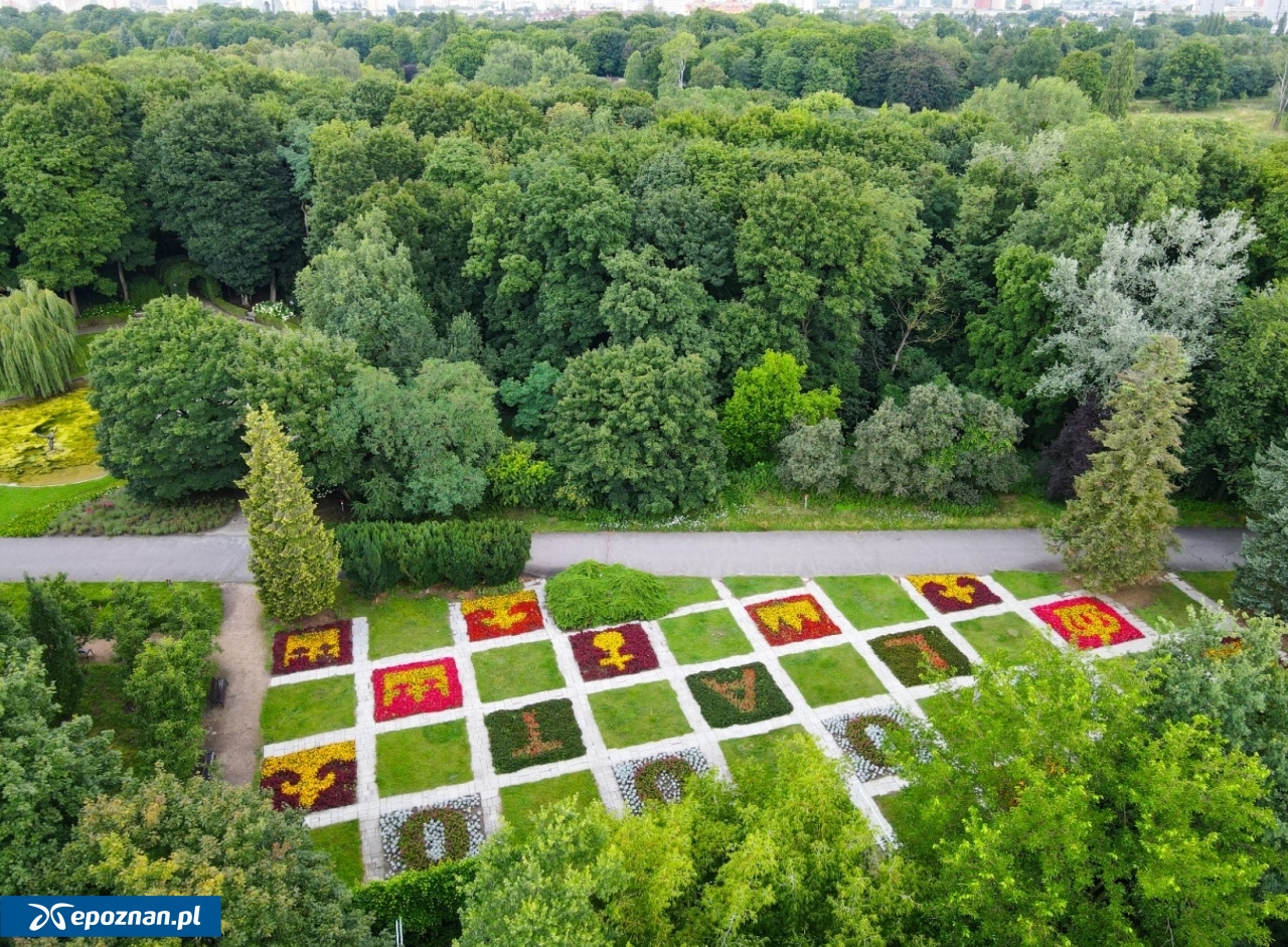 fot. ZZM Poznań