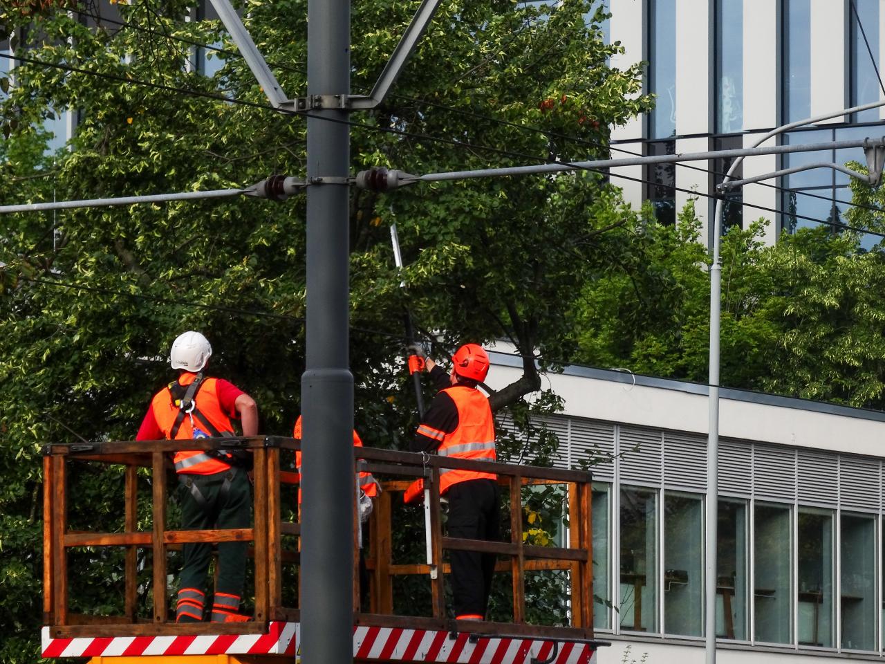 Poranne prace wstrzymały ruch tramwajów na ważnej trasie