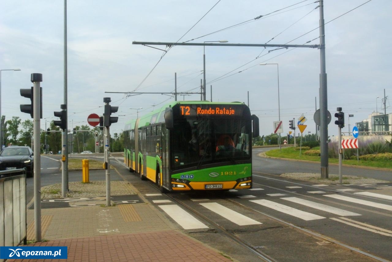 fot. Krystian Andrzejewski